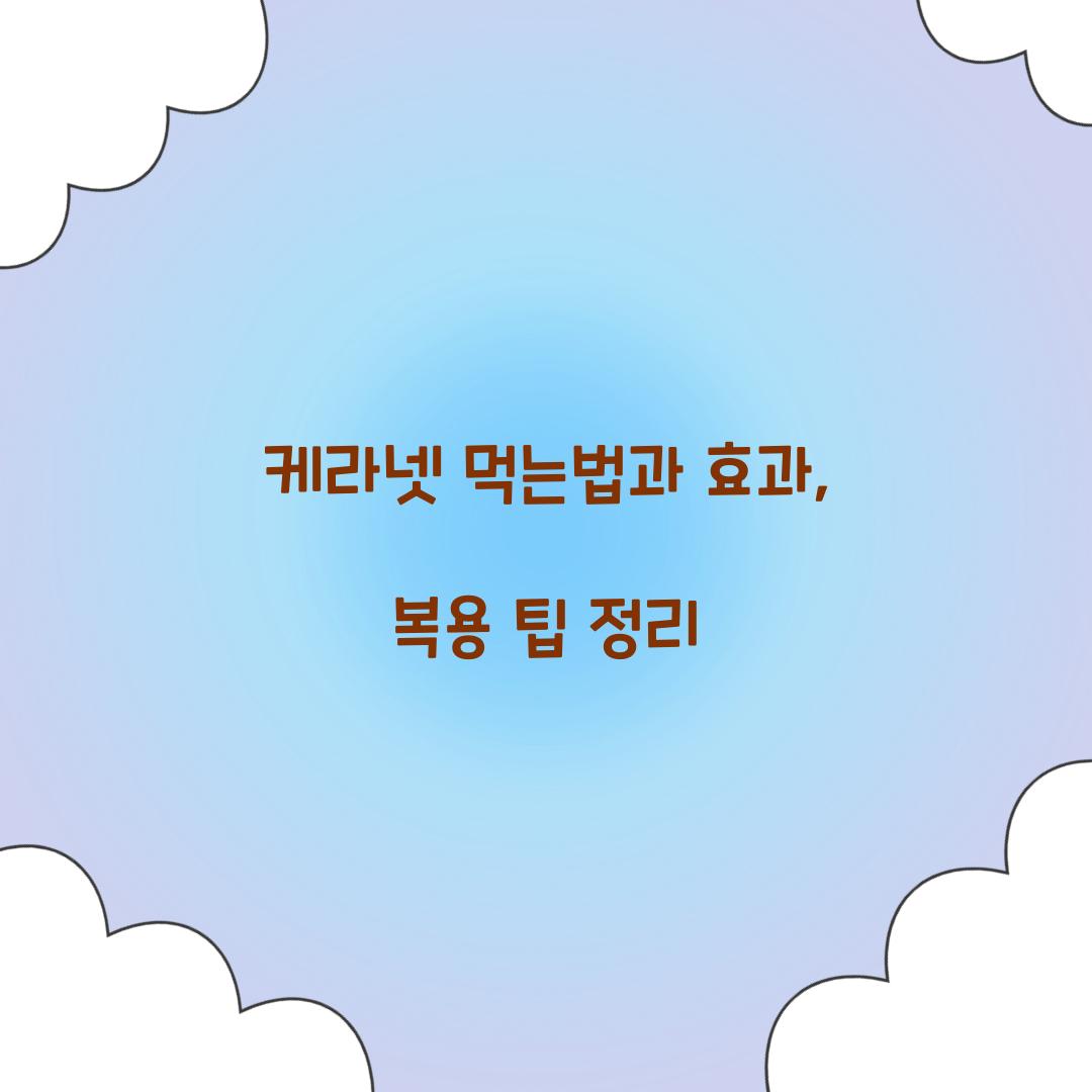 케라넷 먹는법