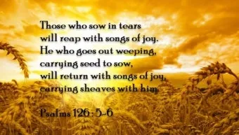 시편 5장 3절 읽기 - 여호와여 아침에 주께서 나의 소리를 들으시리니 아침에 내가 주께 기도하고 바라리이다_23