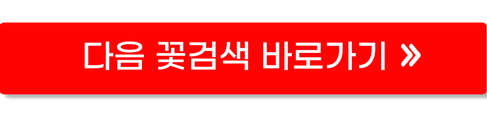 꽃검색5
