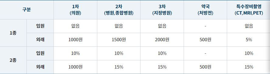 의료급여-본인-부담금-표