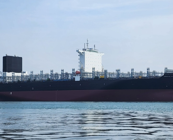 상장일 따상 가능성 및 리스크 분석