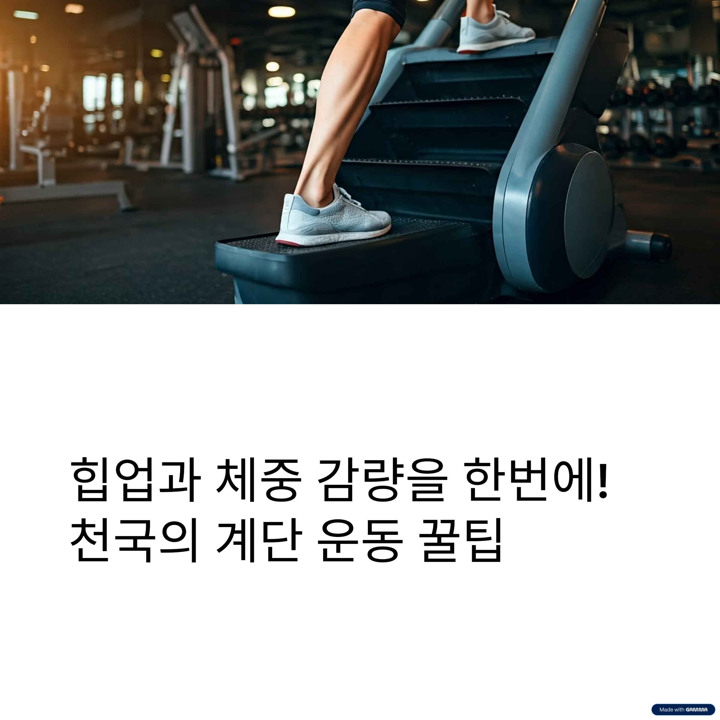 천국의 계단 다이어트로 힙업까지? 효과 200% 보는 법