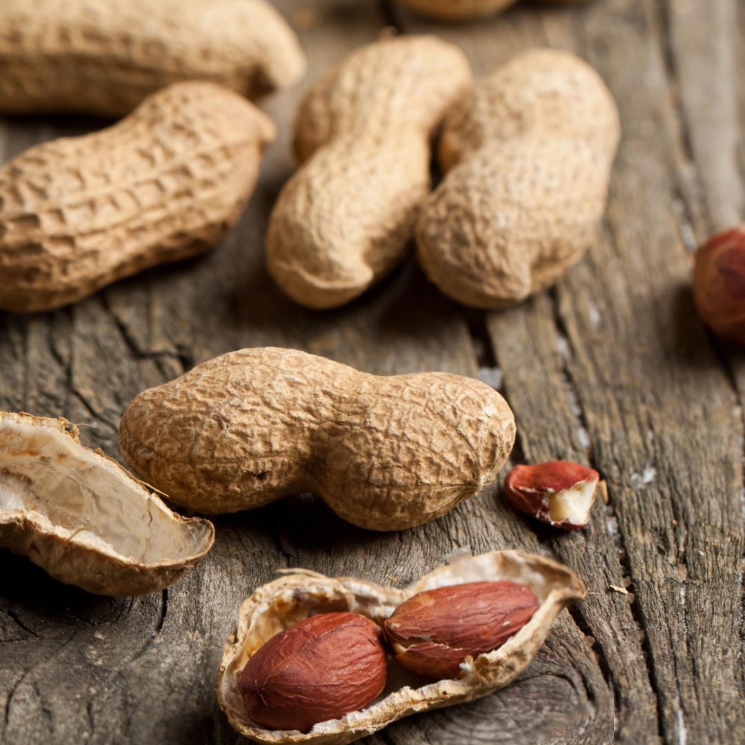 땅콩 효능 부작용