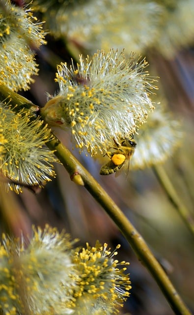 부산 날씨 예보