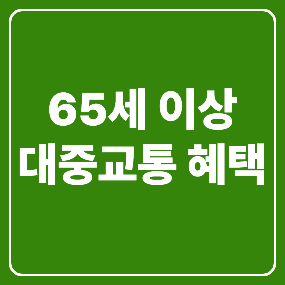 65세 이상 대중교통 혜택