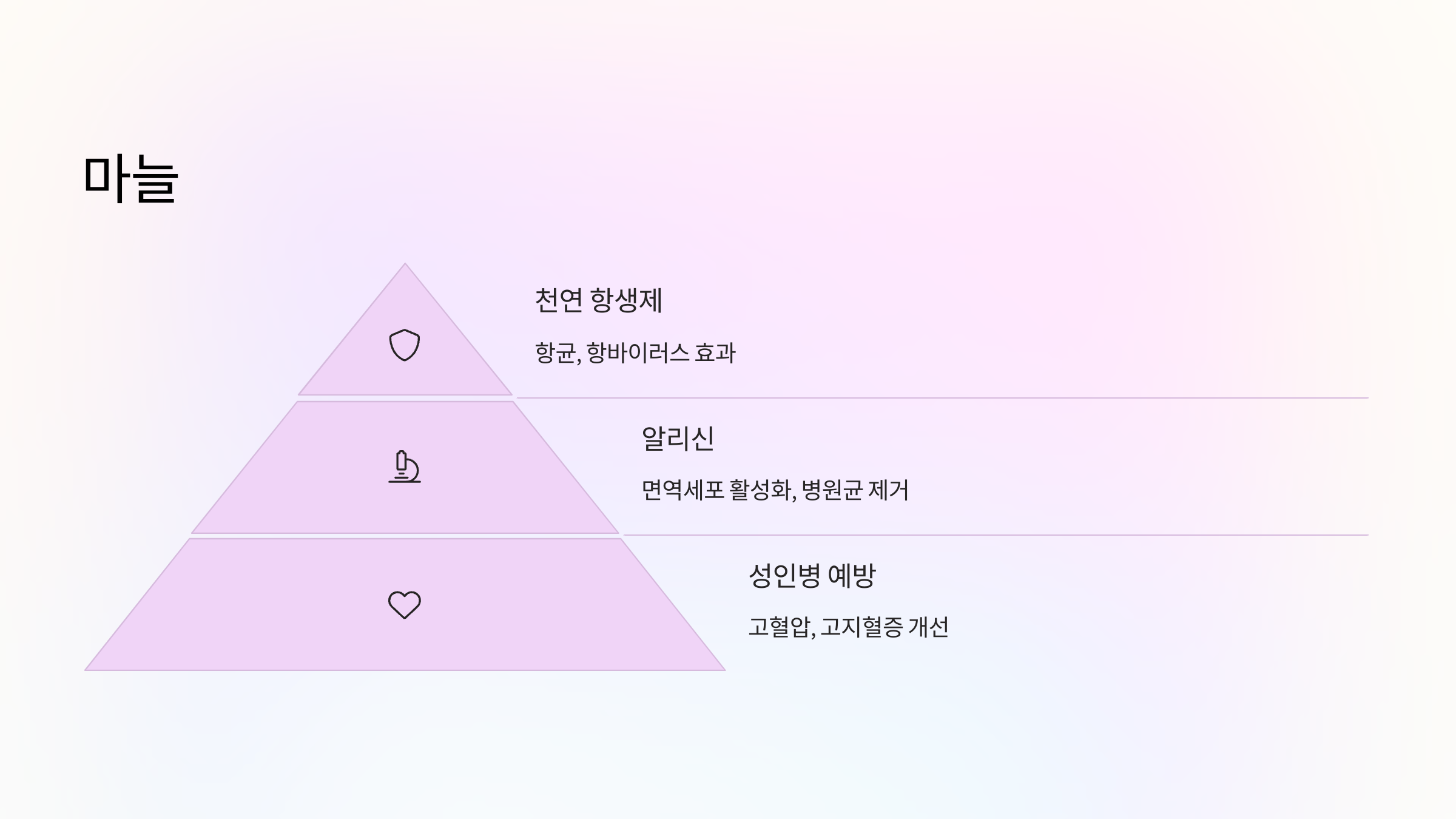 🧄 2. 마늘