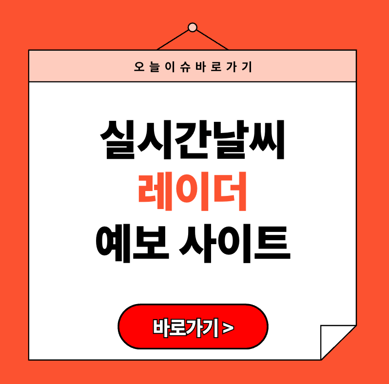 실시간날씨레이더예보사이트 모음 (2025년 최신 + 초보자 보는법)