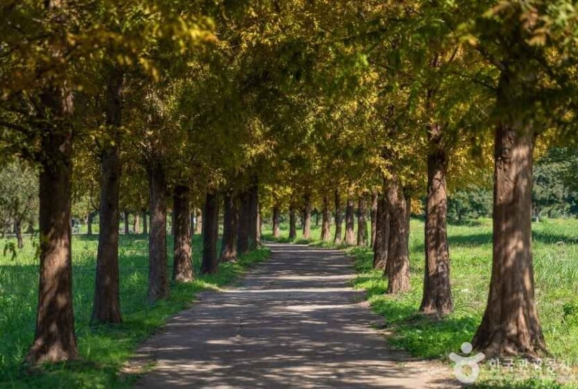 경기도 광주 가볼만한곳 베스트 10