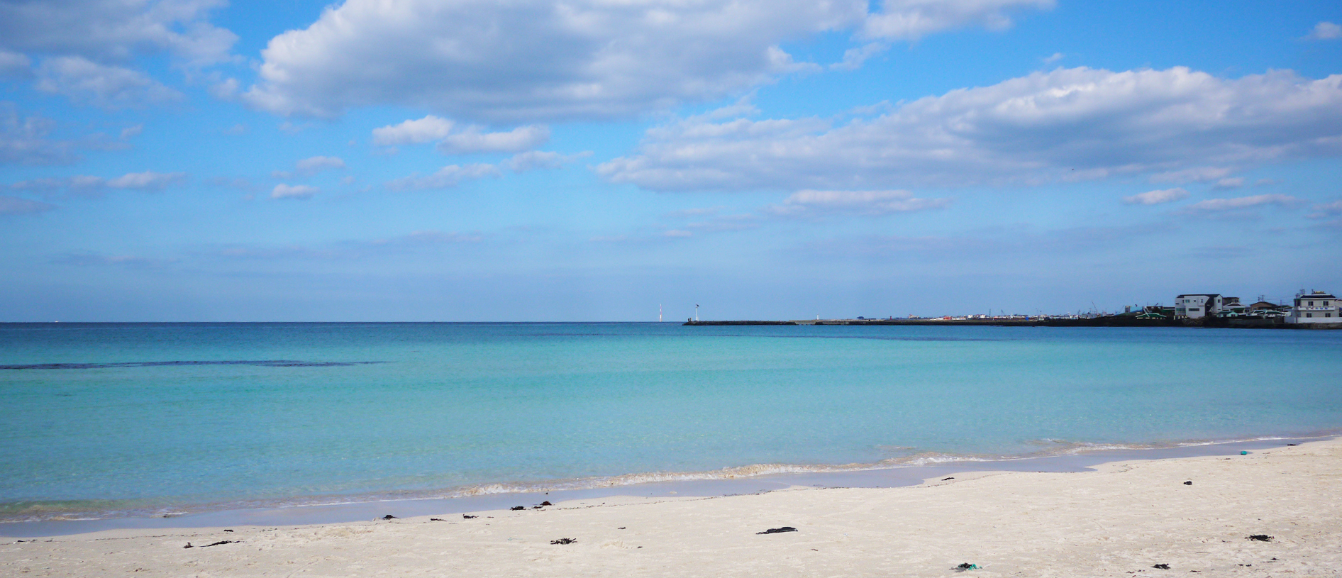 2025년 해수욕장 개장 일정 &amp; 주차장 정보 총정리