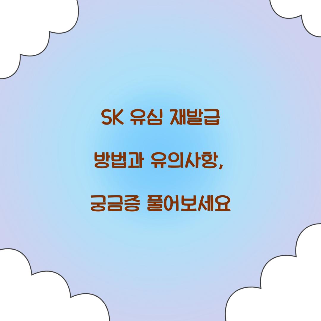 sk 유심 재발급