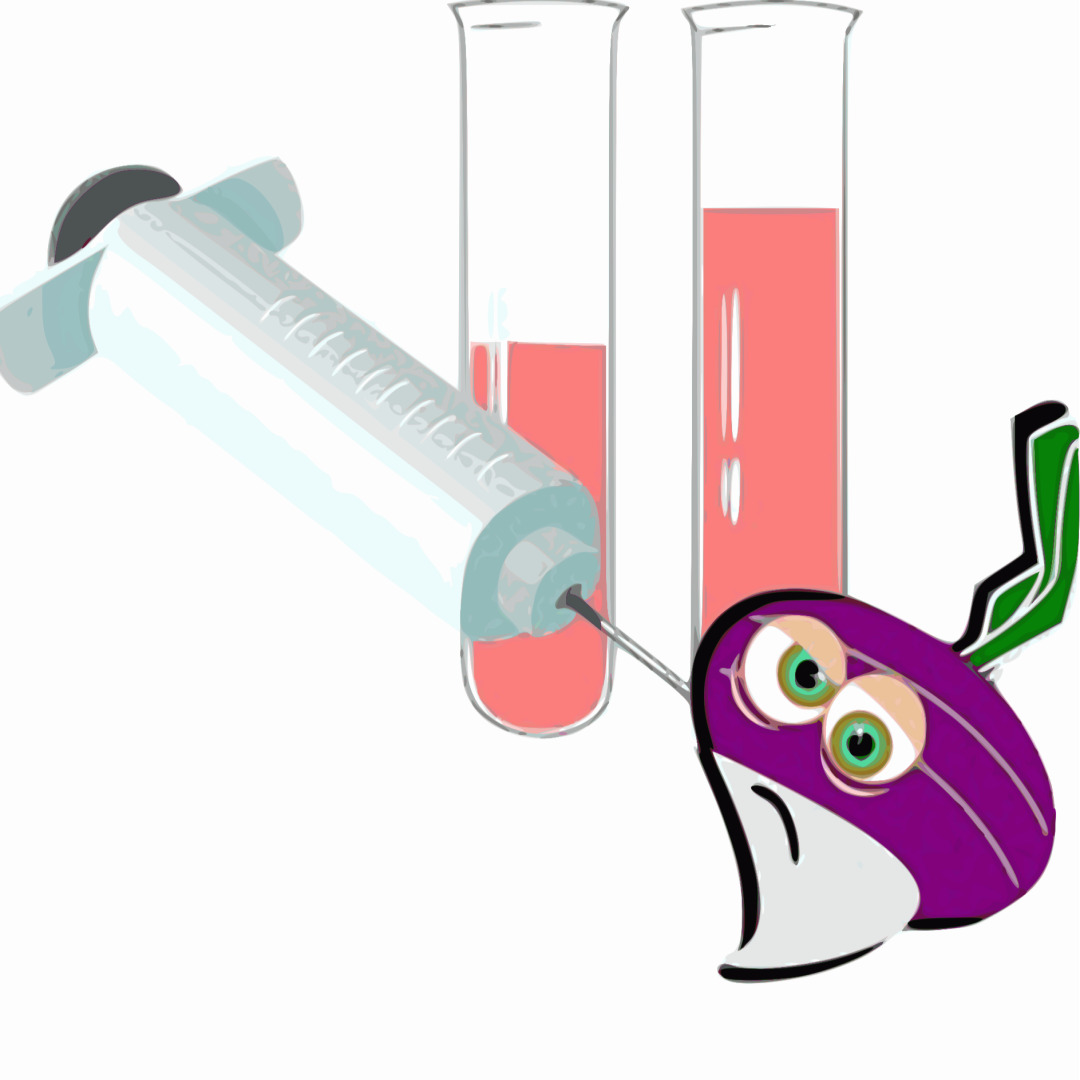 빈혈 치료법 비교 (정상수치, 약물치료, 식이요법)