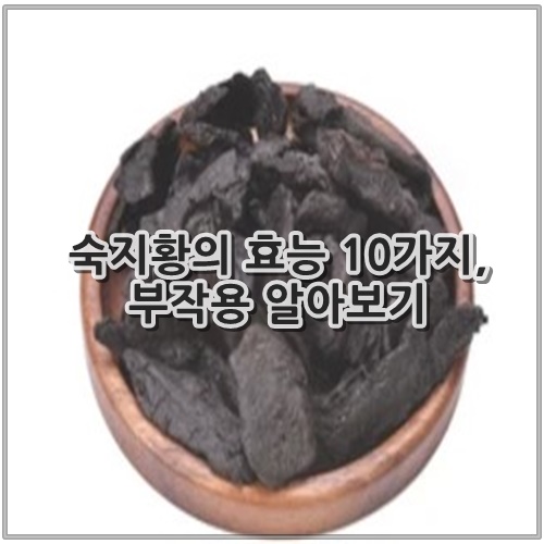 숙지황의 효능 10가지, 부작용 알아보기