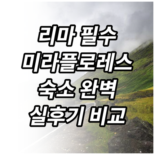 리마 여행 미라플로레스 지역별 숙소 ..