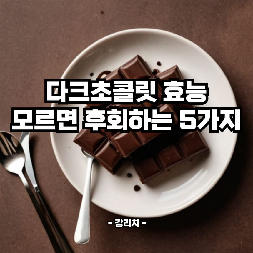 다크초콜릿 효능 모르면 후회하는 5가지