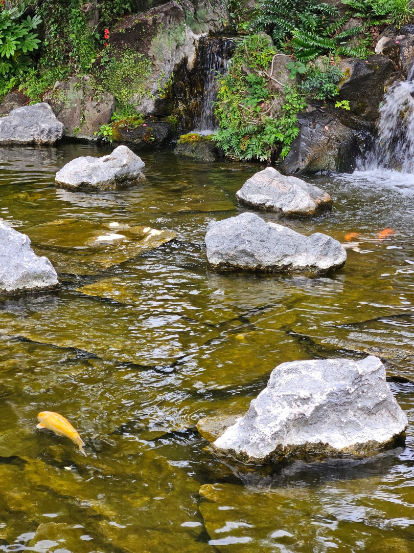 신라호텔 야외 정원