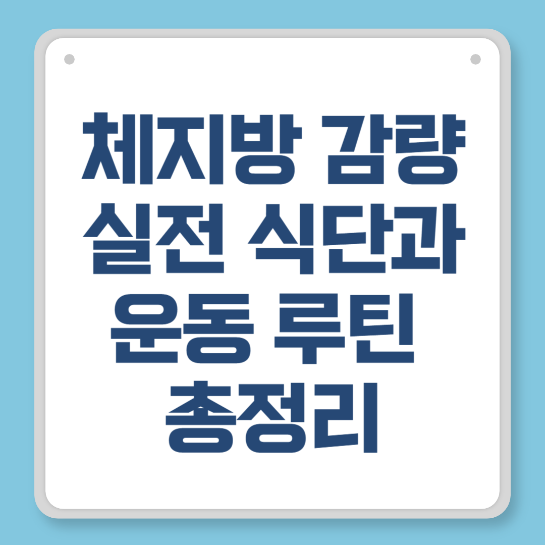 체지방 감량 방법, 성공률 높이는 실전 식단과 운동 루틴 총정리
