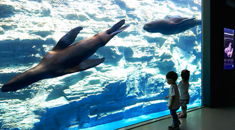 여수 아쿠아플라넷