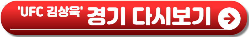 UFC 325