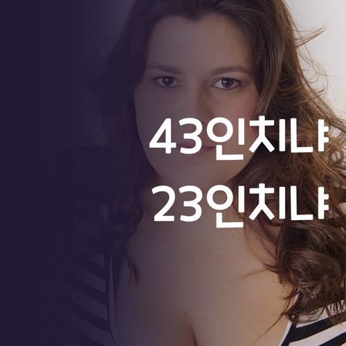 인치별 TV 선택 고민 끝 43인치 ..