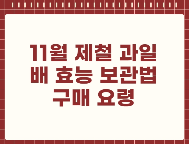 11월 제철 과일 배 효능 보관법 구매 요령