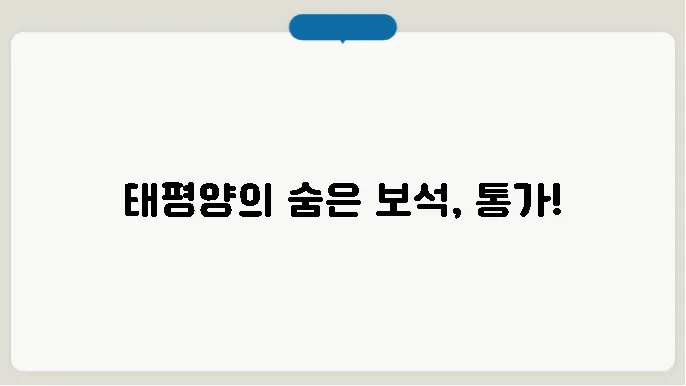 통가 역사, 문화, 위치