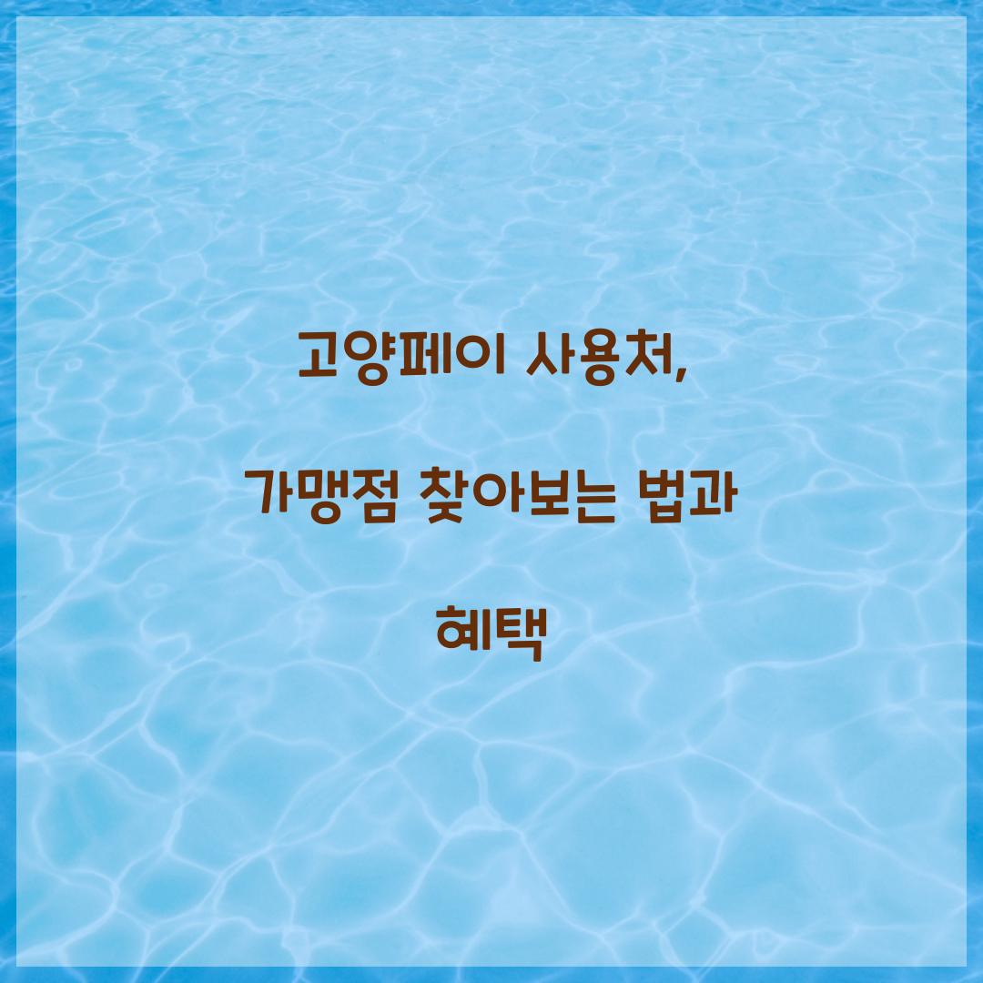 고양페이 사용처