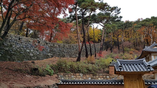가평단풍명소, 아침고요수목원단풍, 남이섬단풍, 포천국립수목원, 광릉숲단풍, 남한산성단풍, 용문산단풍, 오산물향기수목원, 소요산단풍, 강천섬단풍