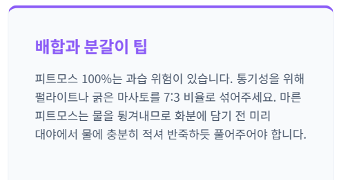 블루베리 키우기