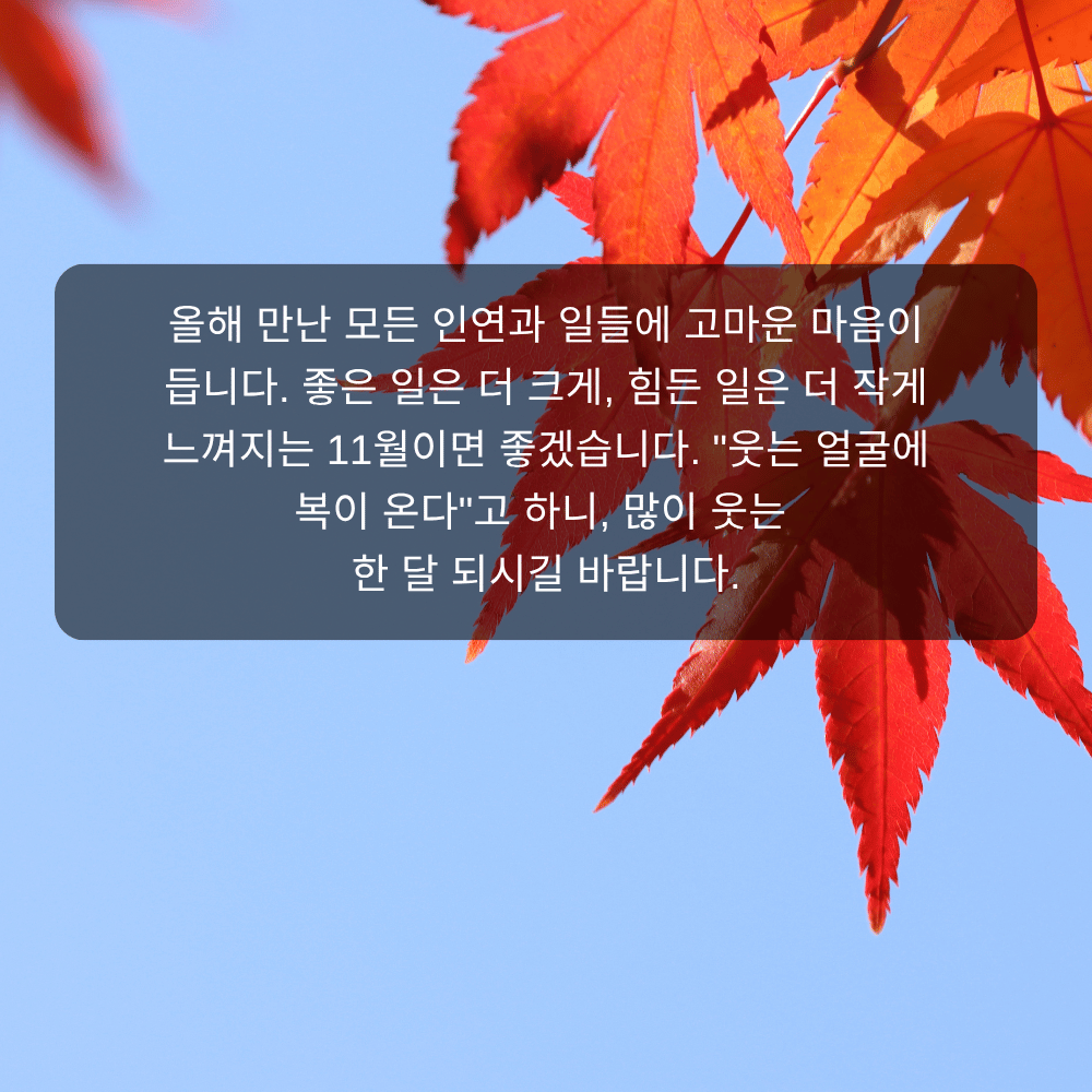 11월 인사말 이미지 20 - 웃는 얼굴에 복이 온다, 감사와 웃음 인사