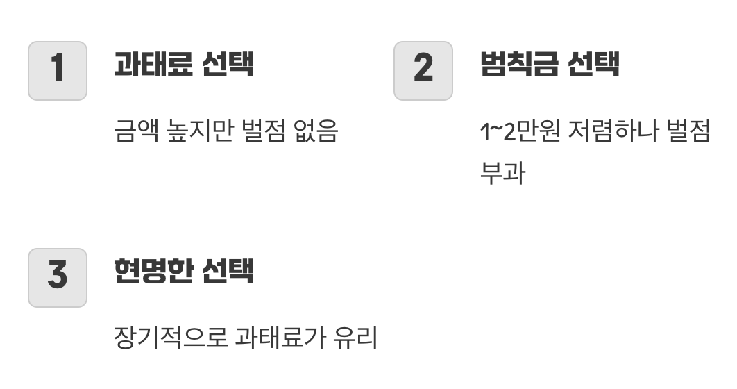 카메라 단속, 현명한 선택의 갈림길