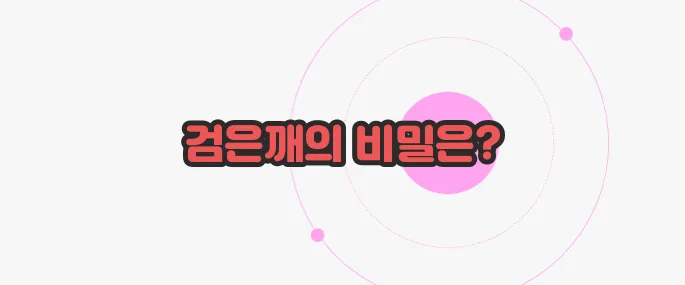 검은깨 효능  무슨 내용인지 살펴보죠