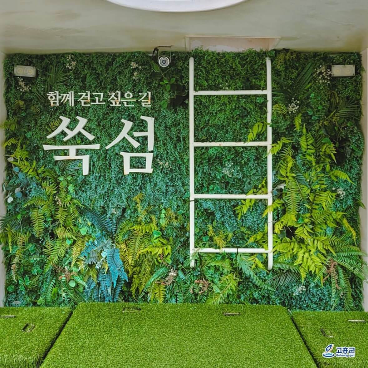 쑥섬 수국축제
