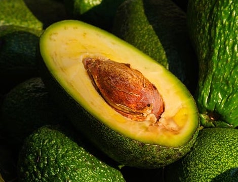 고지혈증에 좋은음식