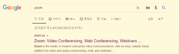 ZOOM-구글검색하기