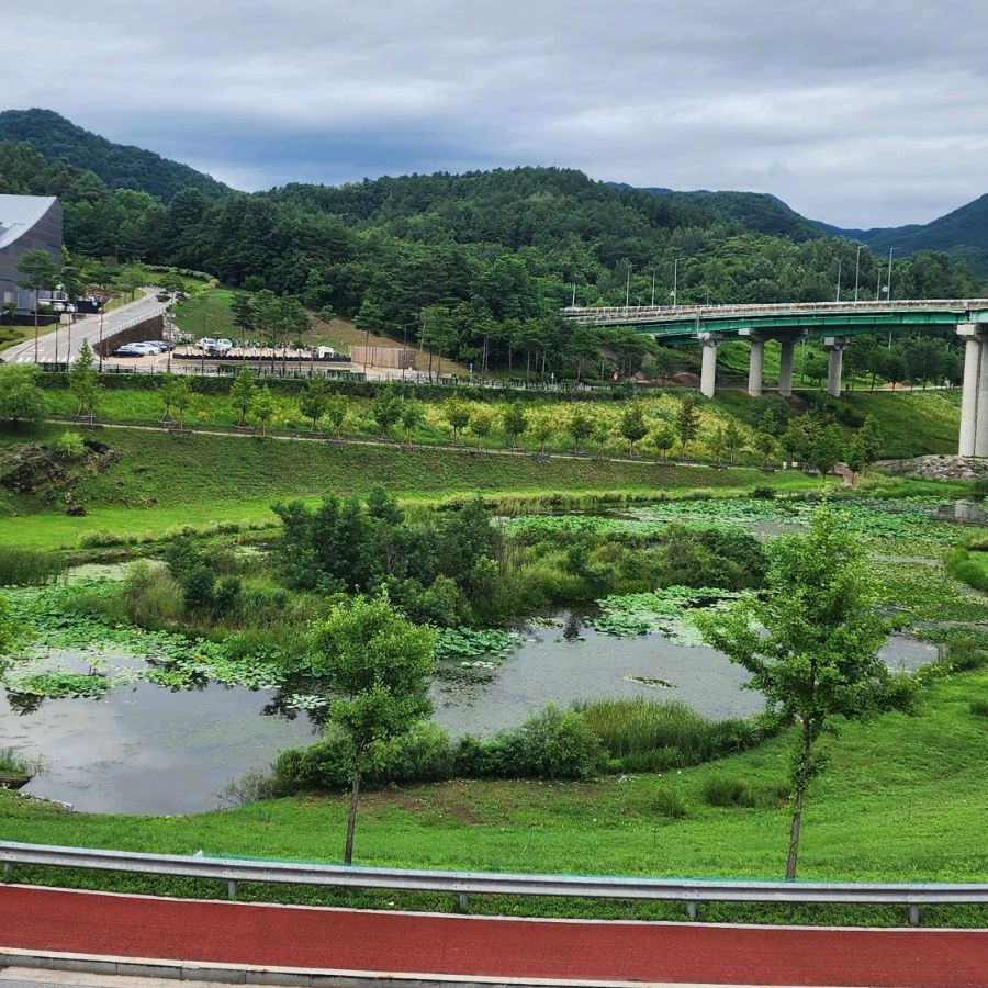 청령포