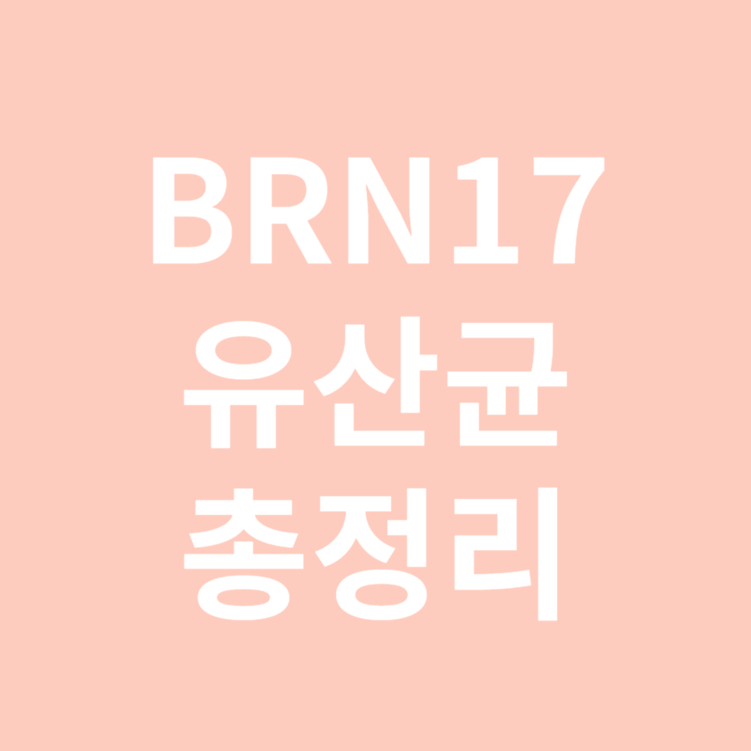 BRN17 유산균 효능 총정리