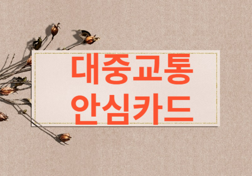 대중교통안심카드