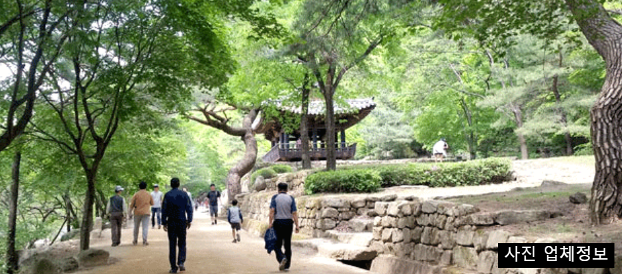 6월 국내 여행지 추천 BEST 5, 초여름 가볼만한곳