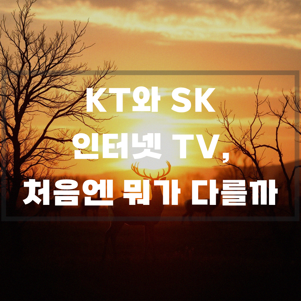 인터넷 티비 KT SK 비교, 어떤 곳이 나을까