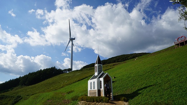 건축과 조경을 함께 설계하면 좋은 이유 (꿀팁 포함!)