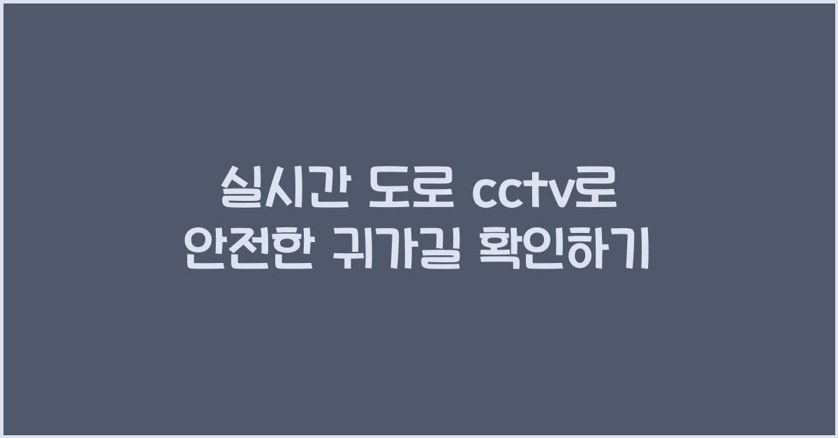 실시간 도로 cctv