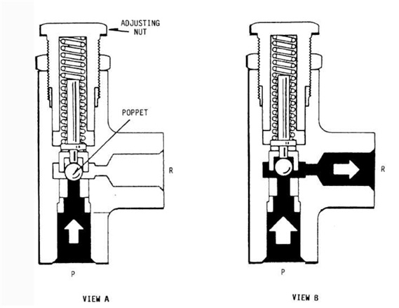 Typical thermal relief valve.