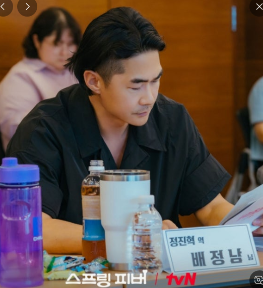 스프링-피버-기본-정보-등장인물-뜻-ott