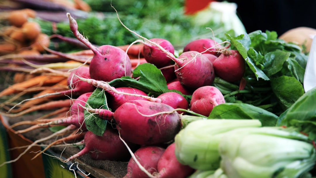 Radish