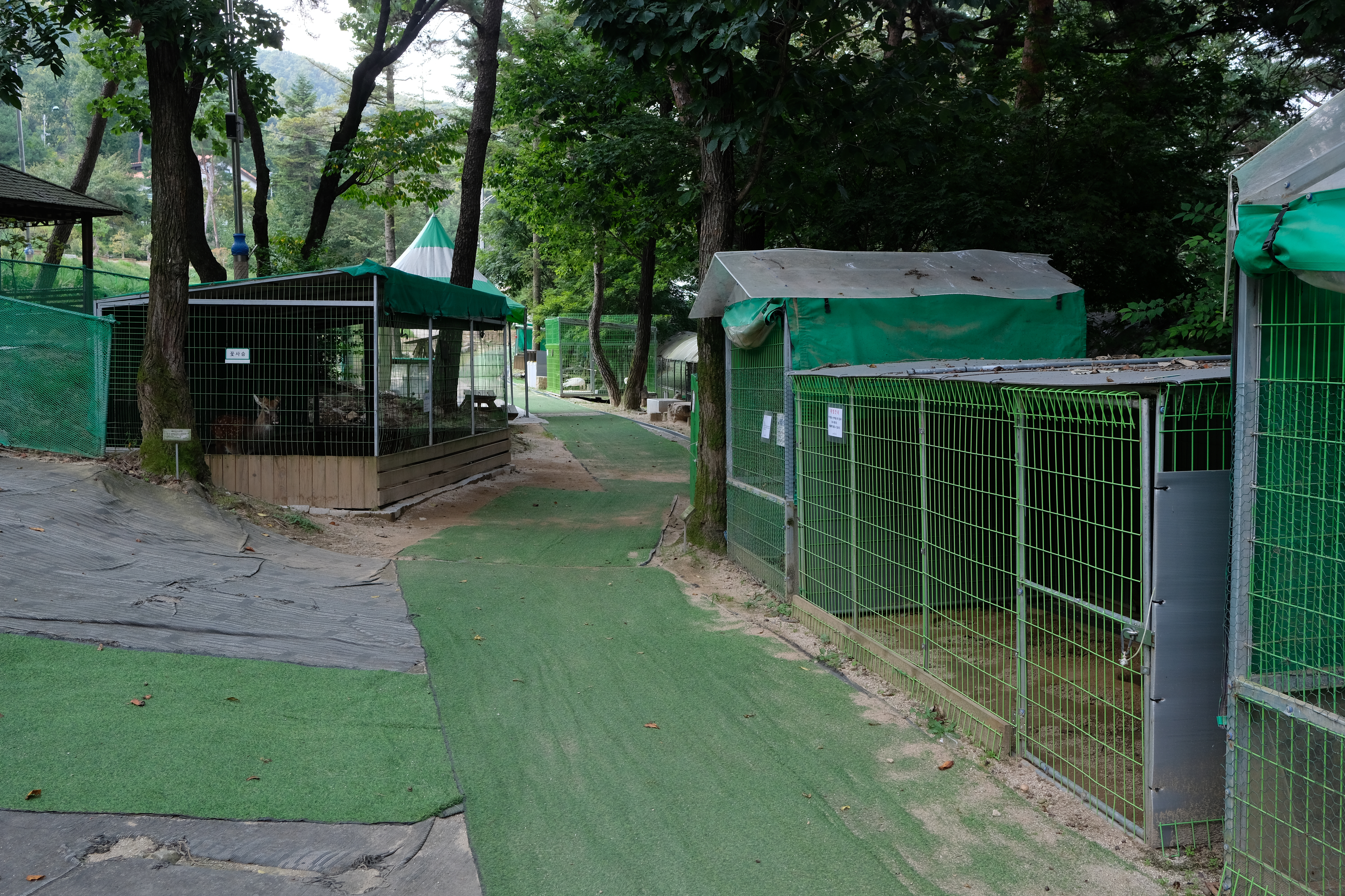 덕평공룡수목원 동물원