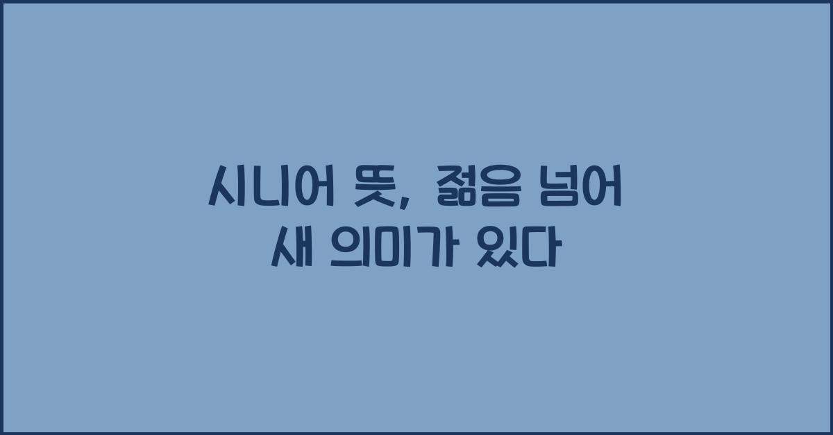 시니어 뜻