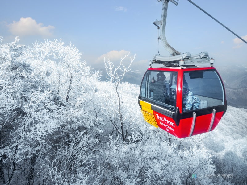 발왕산 케이블카 요금