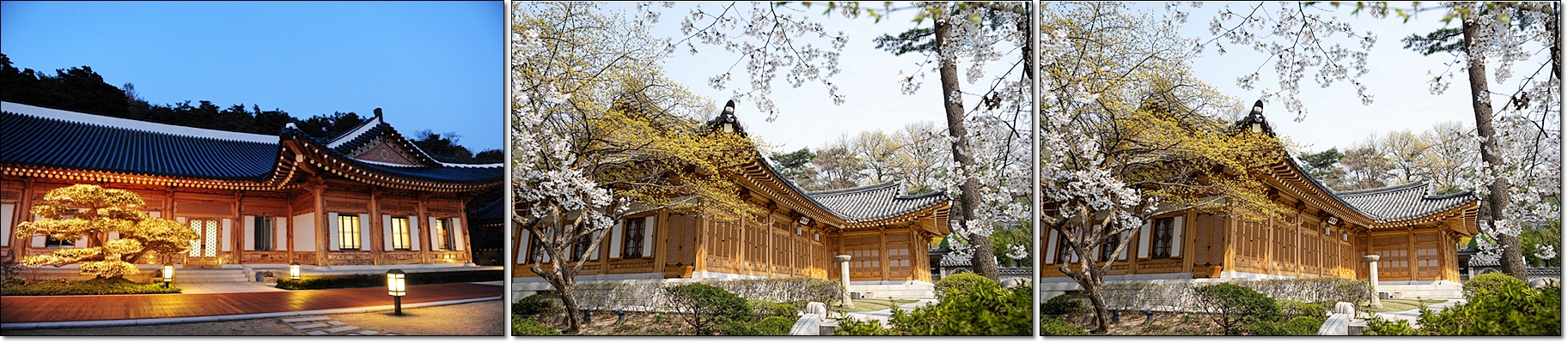 출처 청와대 국민품으로