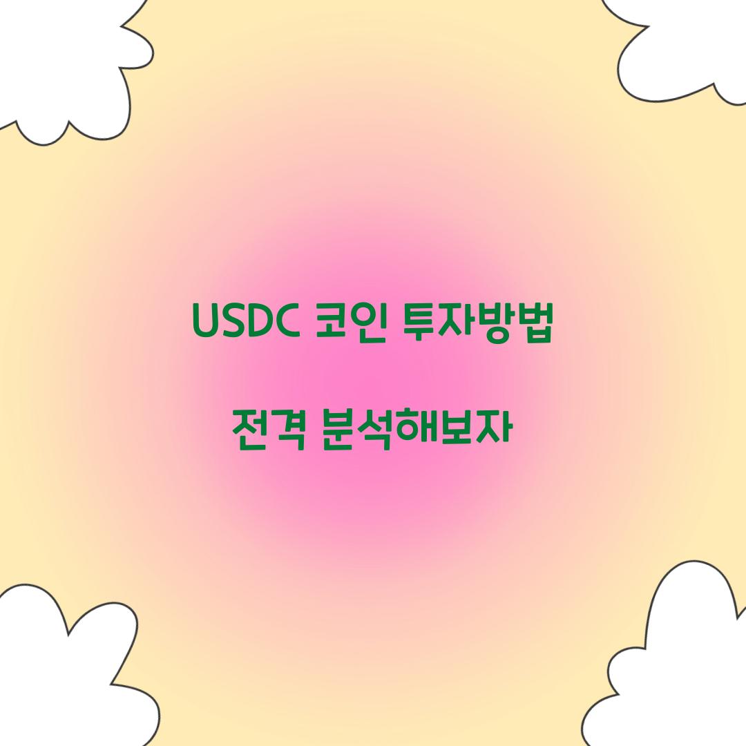 USDC 코인