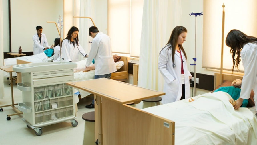 2025년 간호학과 완벽 가이드